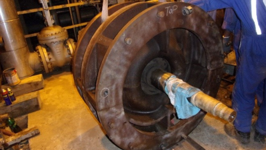 Untitled design (11)