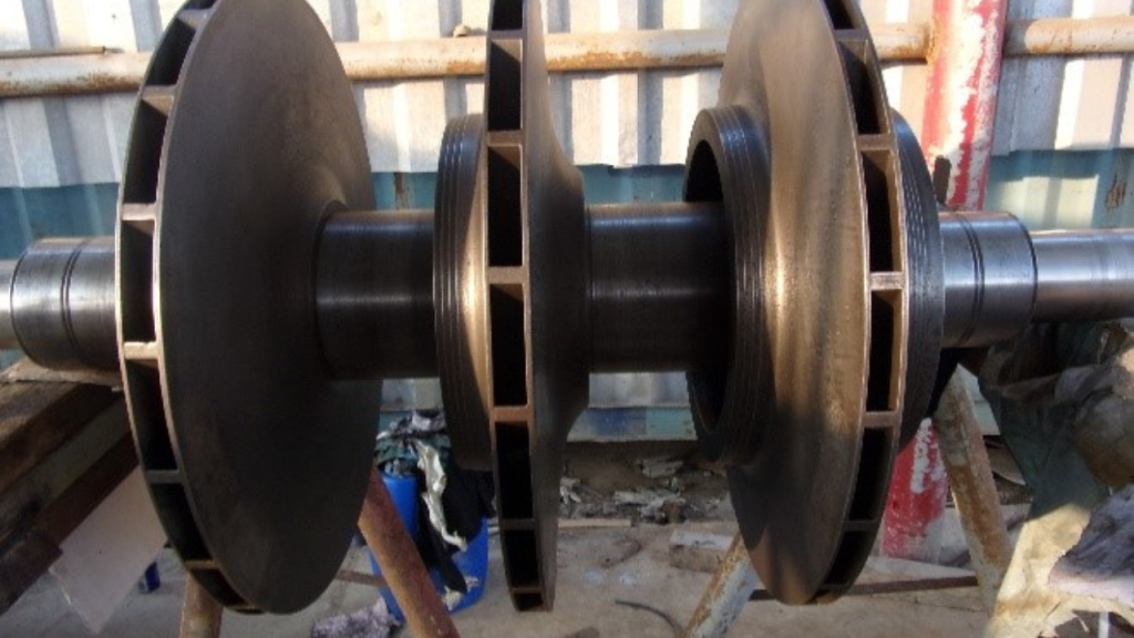 Untitled design (15)