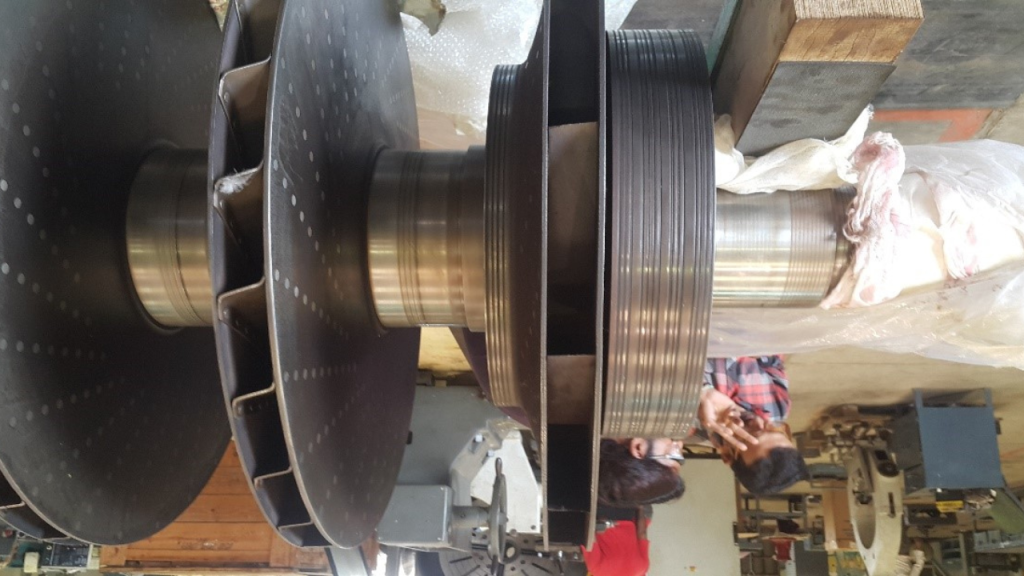 Untitled design (18)