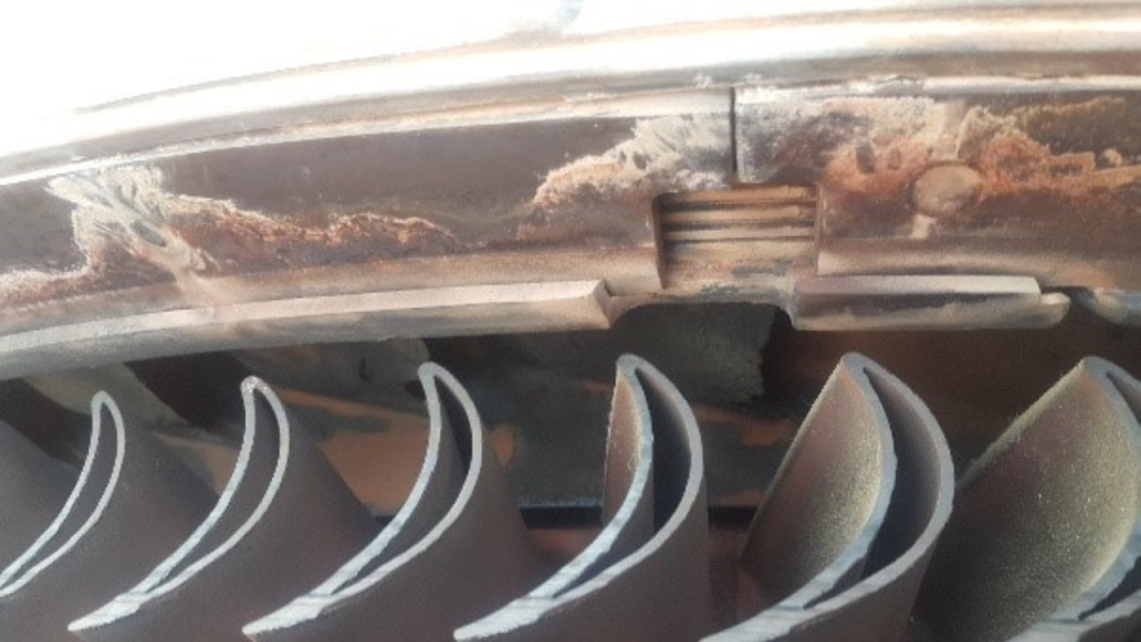 Untitled design (20)