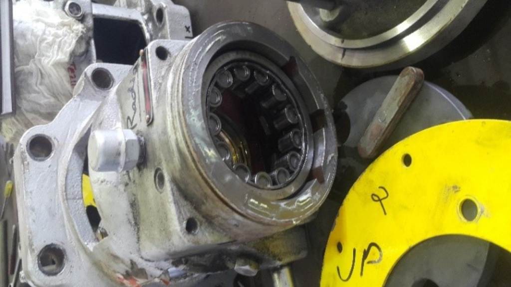 Untitled design (51)