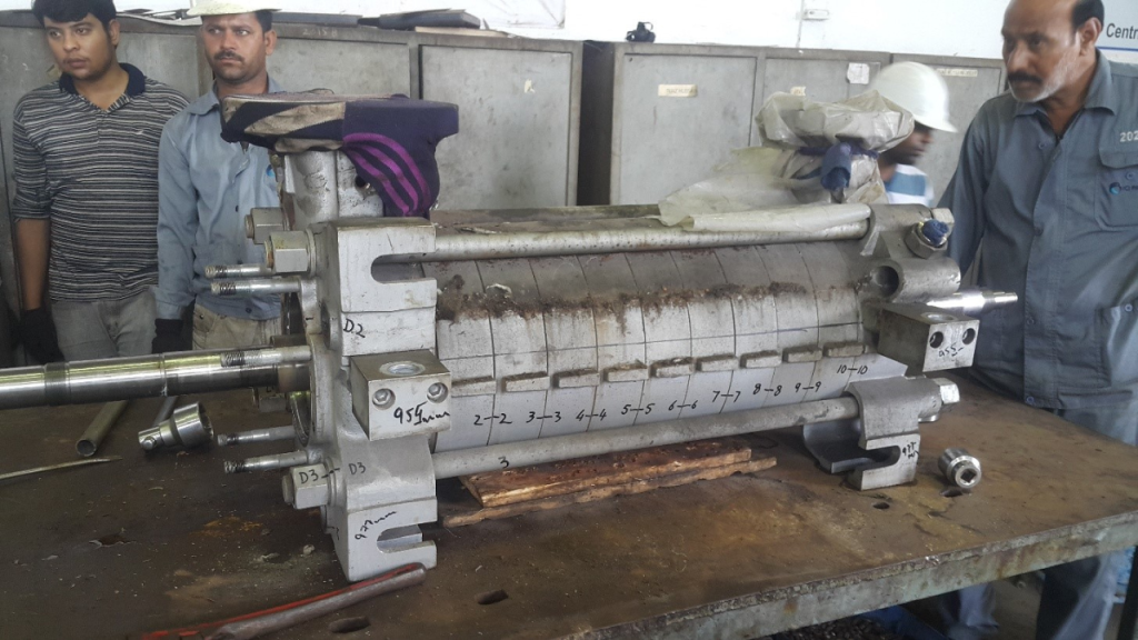 Untitled design (52)