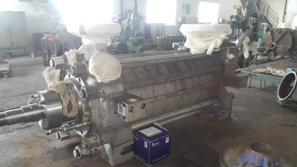 Untitled design (54)